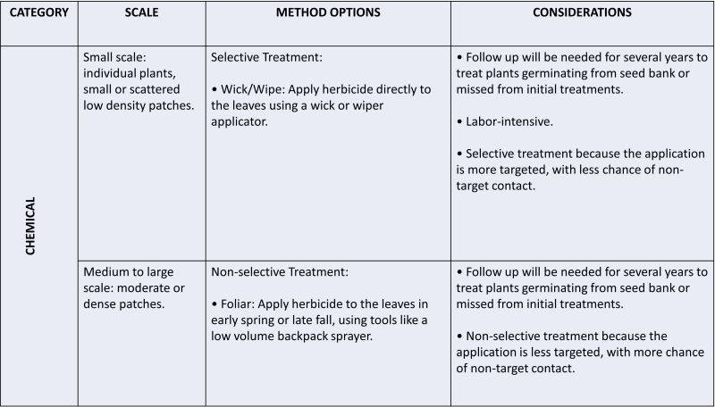 text in a table describing chemical treatments for Garlic Mustard