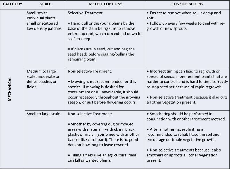 text in a table describing mechanical treatments for Wild Chervil