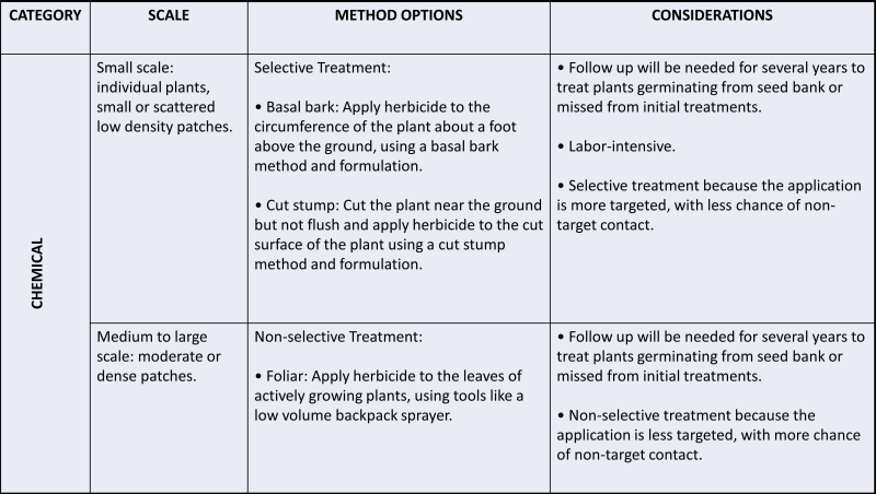 text in a table describing chemical treatments for Japanese barberry