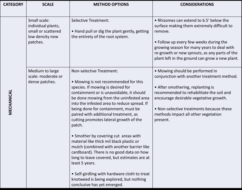 text in a table describing mechanical treatments for Japanese knotweed