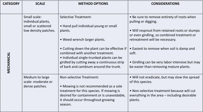 text in a table describing mechanical treatments for Glossy Buckthorn