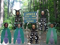 Outreach at Jamaica State Park
