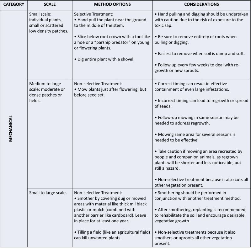 text in a table describing mechanical treatments for Wild Parsnip