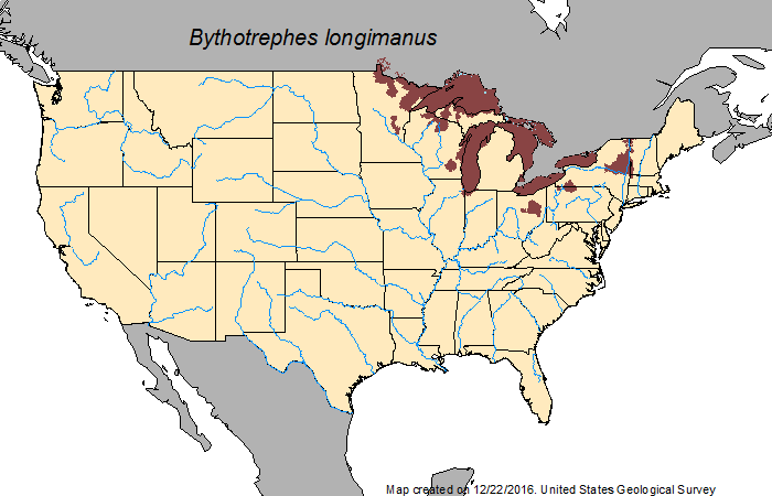 U.S. map of Spiny waterflea distribution