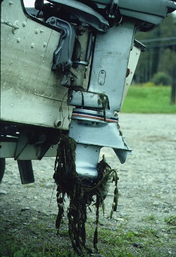 Motor with invasive plants