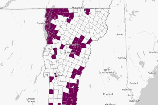 vt forest health map screenshot