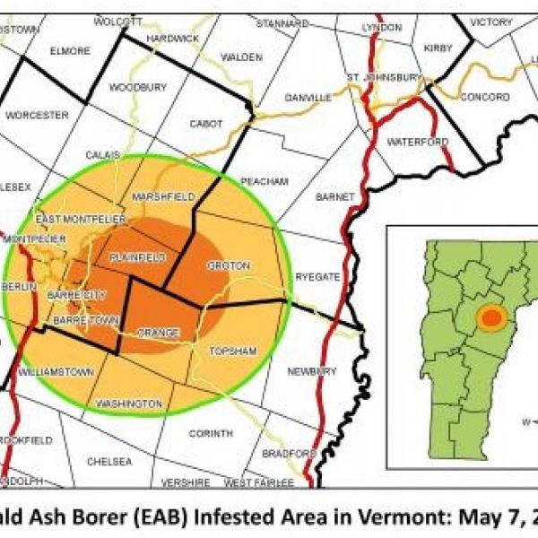 EAB Infested area