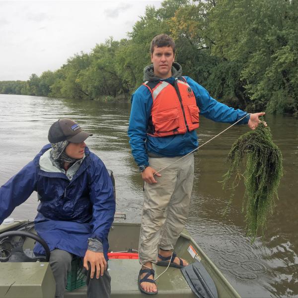 Watch Out for Number 1! | Vermont Invasives