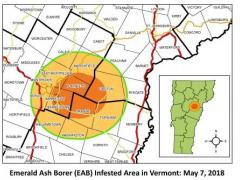 EAB Infested area