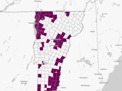 vt forest health map screenshot